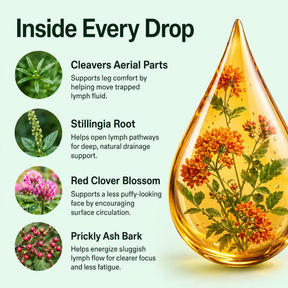 Lymphatic Drainage Wellness Drops